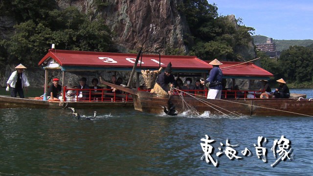 日本で唯一 昼の鵜飼